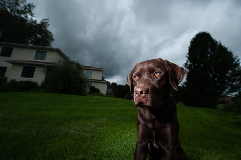 Shooting with high-speed sync allows you to control ambient light and have a shallow depth of field. This exposure was made using a Nikon SB-800 AF Speedlight at 1/16 power and -1/3 EV, and is 1/1,250 second at f/5, ISO 100.