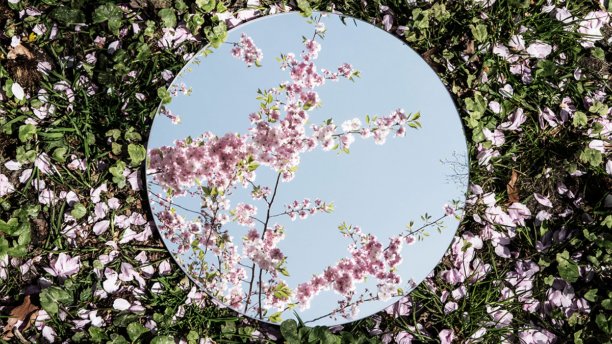 Mirrored: Photo series reveals contrasting views | Professional  Photographers of America