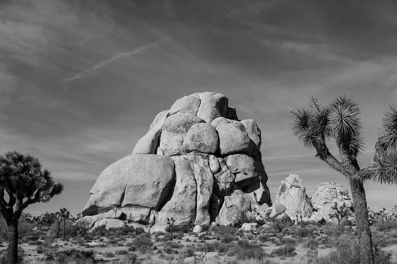 With the Quattro H set for monochrome capture and the IR filter in place, the camera produces gorgeous images equal to low ISO black and white film.