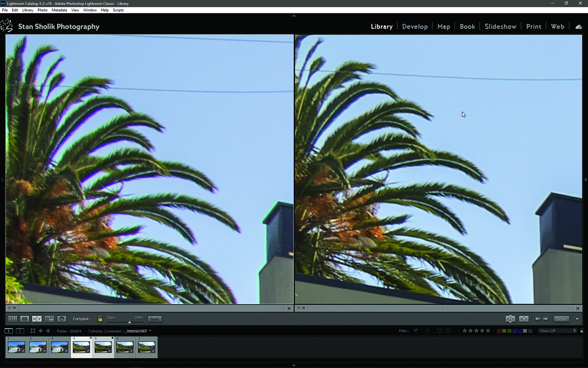 Comparison view shows corrections DxO PureRaw made for chromatic aberration in an image of palm fronds against a blue sky