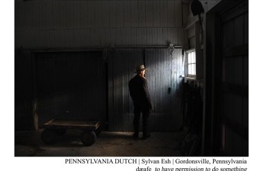 1.25-41-Pennsylvania-Dutch_.jpg