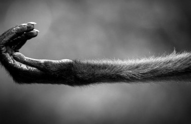 10.22-Unknown_.jpg