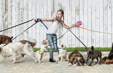 11.24-The-Dog-Walker_.jpg