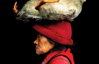 2.24-PP-©cristinamittermeier-goose11_X_14_.jpg
