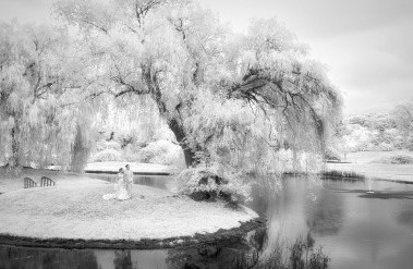 201705-header-brycekatiewedding_0548-copy.jpg
