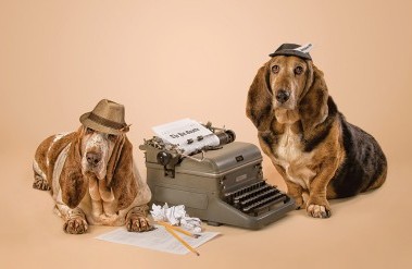 201711-newshounds_header.jpg