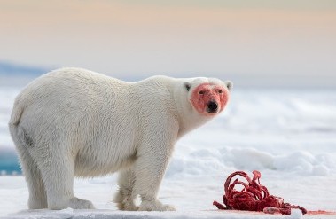 20183-header_h9p3147-edit.jpg