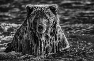 20197header_mm7879-280812-91943_kbg_bw.jpg
