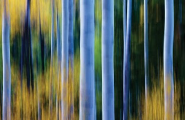202110170925kbp106-Edit.jpg