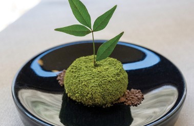 202507_goods-reflectors-Japan_Nagano_Matsumoto_Tobira-Onsen_Myojinkan_matcha-final.jpg