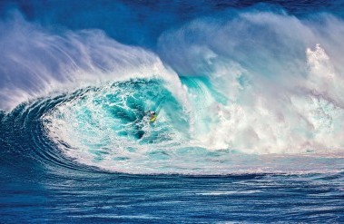 4-22-BOGNER_9953XXXJAWS_1.jpg