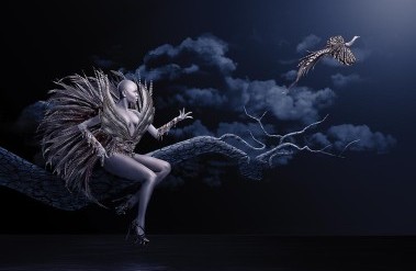 4.23-PP-The_Rarest_Bird_.jpg