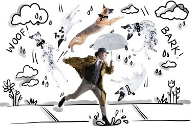 5.24-PP-Itsrainingdogs-dynamitestudioinc_.jpg