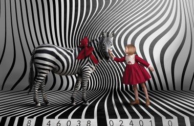 6.21-zebra-working-new_.jpg