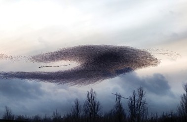6.25-TheChase_.jpg