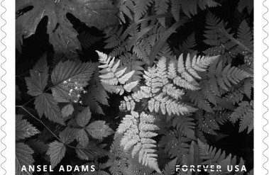 7.24-PP-AnselAdams2024-Singles-v3-BV-v1_8_copy_.jpg