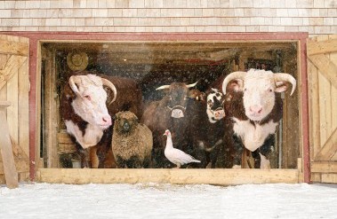 7.24-PP-Farm_Family_2_.jpg