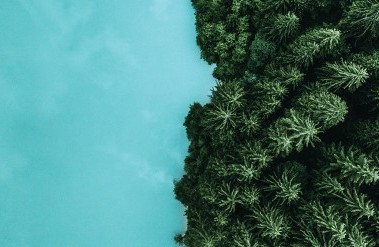 header-20202abstract-aerial-art-swiss-trees.jpg