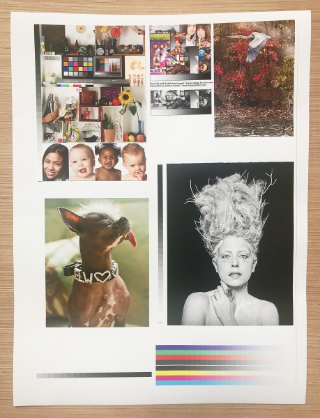 The New Epson Legacy Textured Paper – PhotoPXL