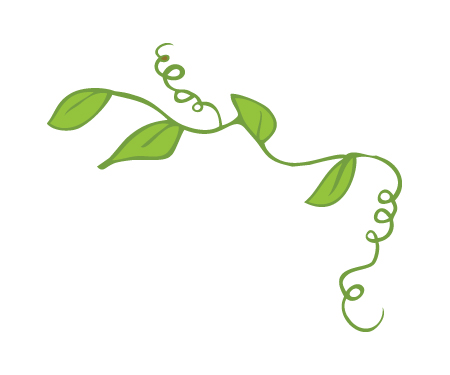 Green vine