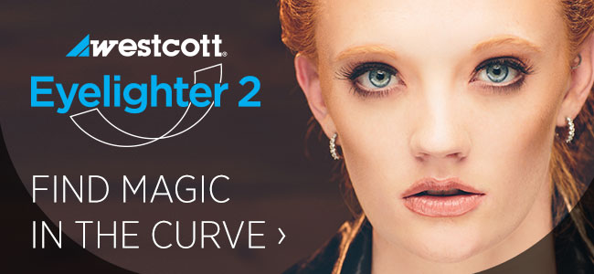 White Eyelighter Vs Silver Eyelighter Portraits Professional Photographers Of America