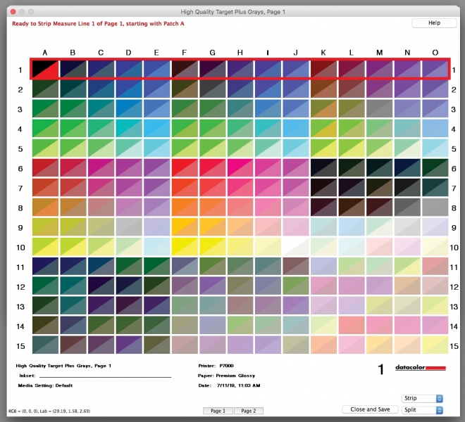 After several false starts I was finally able to complete the reading of the color and gray sheets. My readings (the areas beneath the diagonals) rarely came close to the calibration standards (the areas above the diagonals). 