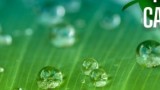 PPA Cares: Making Green Strides at Imaging USA 2025